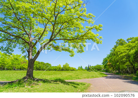 新綠和平公園<愛知縣名古屋市> 102090576