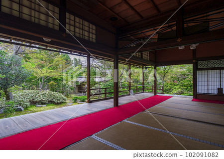 妙心寺大鳳院 清新的綠色露天庭園（京都花園） 102091082