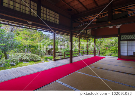 妙心寺大鳳院 清新的綠色露天庭園（京都花園） 102091083