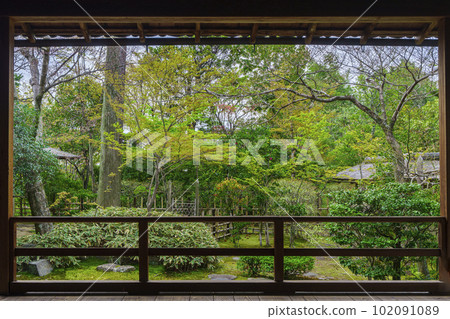 妙心寺大鳳院 清新的綠色露天庭園(京都花園) 妙心寺大鳳院 清新的綠色露天庭園(京都花園) 102091089