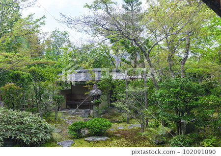 Myoshinji Daihoin Fresh green open-air garden (Kyoto Hanazono) Myoshinji Daihoin Fresh green open-air garden (Kyoto Hanazono) 102091090