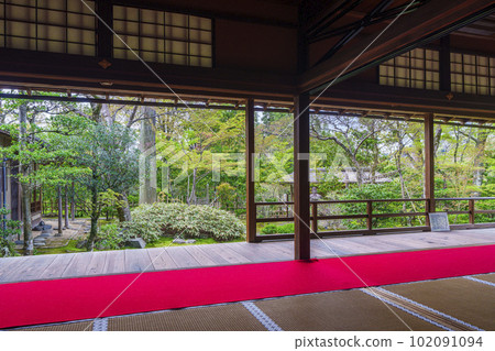 Myoshinji Daihoin Fresh green open-air garden (Kyoto Hanazono) Myoshinji Daihoin Fresh green open-air garden (Kyoto Hanazono) 102091094