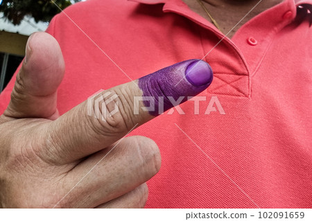 Closeup of voter's index finger with indelible ink, a prosedure to prevent voting fraud during general election 102091659