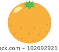 cute fruit tangerine illustration 102092921