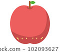Apple fruit icon illustration 102093627