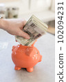Rich man from Poland. Hand with big silver watch putting a lot of polish money into a piggy bank 102094231