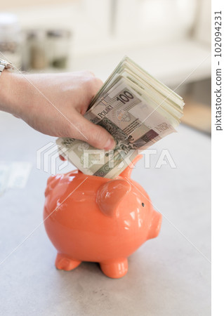 Rich man from Poland. Hand with big silver watch putting a lot of polish money into a piggy bank Rich man from Poland. Hand with big silver watch putting a lot of polish money into a piggy bank 102094231