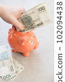Rich man from Poland. Hand  putting a lot of polish money into a piggy bank 102094438