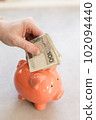 Rich man from Poland. Hand  putting a lot of polish money into a piggy bank 102094440