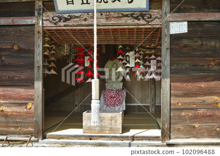 瑪利亞坎農 102096488