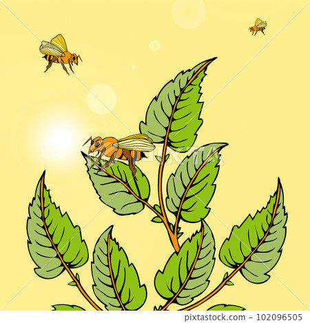 Sketch of a twig with leaves and wasp on a light yellow background. Hand drawn. 102096505