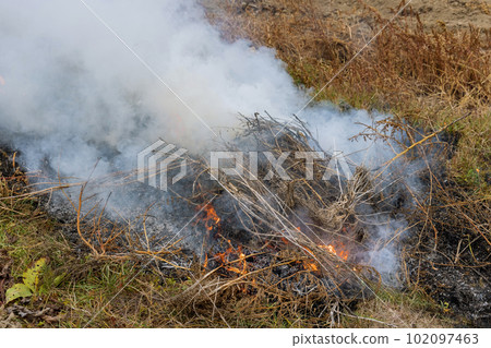 Spring field on fire burning dry grass large flames over smog in ecological catastrophe. 102097463