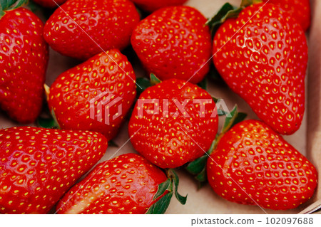 Red juicy ripe sweet strawberries. Harvesting in the plantation, vegetable garden in the summer. Selling seasonal fruits and berries. Macro photos of food top view flatly. Red juicy ripe sweet strawberries. Harvesting in the plantation, vegetable garden in the summer. Selling seasonal fruits and berries. Macro photos of food top view flatly. 102097688
