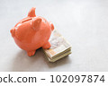 Piggy bank with polish money on concrete table - saving profit concept 102097874