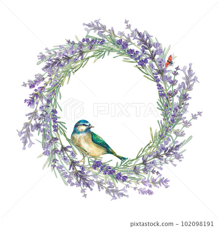 Round frame made of Provencal lavender flowers with a blueberry. Watercolor illustration of purple flowers. Botanical plants. A wreath with a place for the text. Suitable for postcards, leaflet, pack Round frame made of Provencal lavender flowers with a blueberry. Watercolor illustration of purple flowers. Botanical plants. A wreath with a place for the text. Suitable for postcards, leaflet, pack 102098191