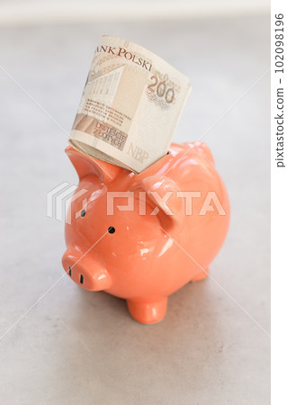 Piggy bank with polish money on concrete table - saving profit concept 102098196