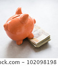 Piggy bank with polish money on concrete table - saving profit concept 102098198
