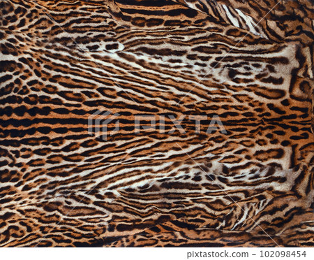 leopard fur texture leopard fur texture 102098454