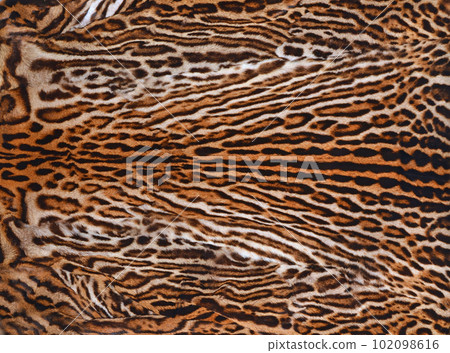 Leopard fur Leopard fur 102098616