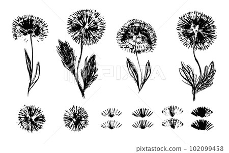 Set of textured hand drawn black ink dandelion flowers, blossoms, seeds. Sketch vector floral blossom and grass elements texture for pattern design, greeting card decoration, logo, print, sticker Set of textured hand drawn black ink dandelion flowers, blossoms, seeds. Sketch vector floral blossom and grass elements texture for pattern design, greeting card decoration, logo, print, sticker 102099458