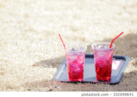 red juice with ice 102099641