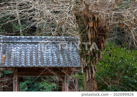 妙正寺寺門(愛知縣豐田市大瀧溪谷) 妙正寺寺門(愛知縣豐田市大瀧溪谷) 102099926