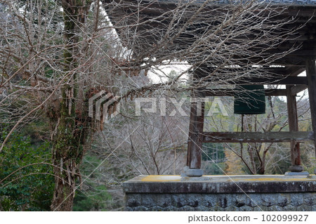 妙正寺寺鐘堂（愛知縣豐田市大瀧溪谷） 102099927