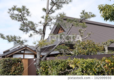 江戶時代的日式民居外觀（愛知縣日新市舊市川家住宅） 102099930