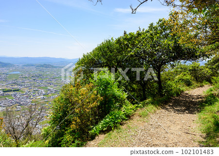 Halfway up the mountain trail of Mt. Iino in Kagawa Prefecture 102101483