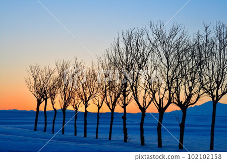 池原波佐木（新潟縣） 102102158