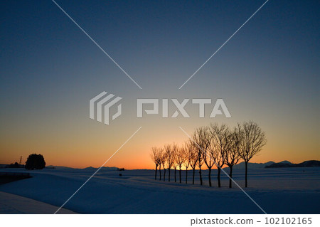 池原波佐木(新潟縣) 池原波佐木(新潟縣) 102102165