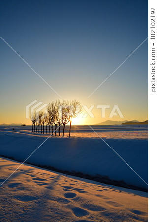 池原波佐木(新潟縣) 池原波佐木(新潟縣) 102102192