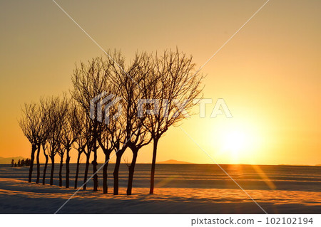 池原波佐木（新潟縣） 102102194