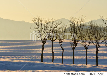池原波佐木（新潟縣） 102102205