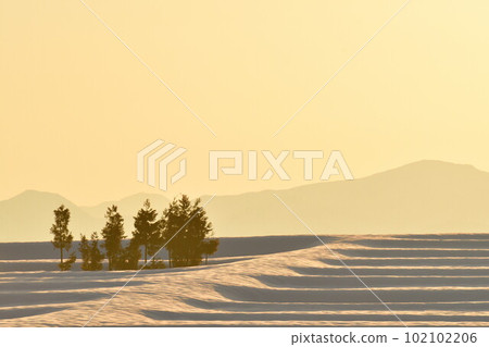 池原地區的雪景（新潟縣） 102102206