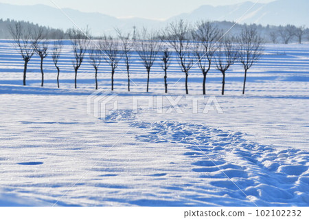 Ikegahara Hasagi (Niigata Prefecture) 102102232