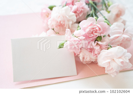 康乃馨母親節植物框架 102102604