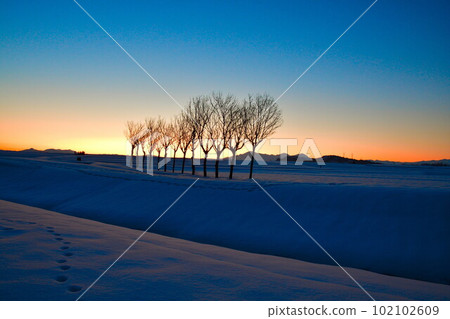 Ikegahara Hasagi (Niigata Prefecture) Ikegahara Hasagi (Niigata Prefecture) 102102609