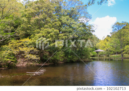 Kamagakedani Honshakunage社區 102102713