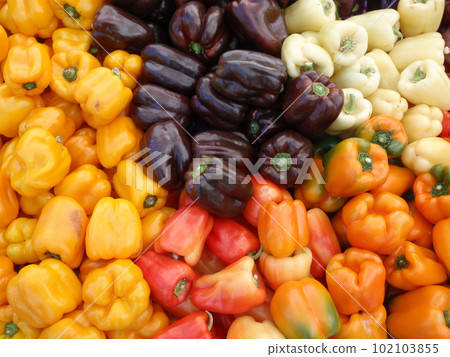 Bunch of Multi-Colored Peppers 102103855