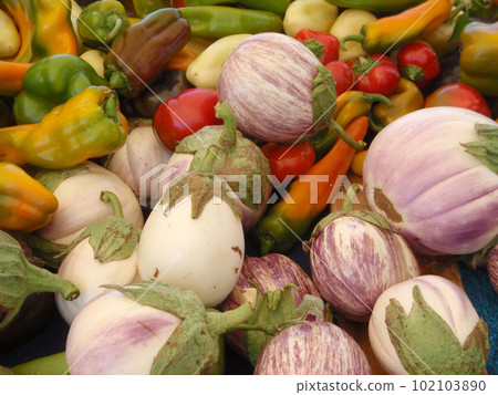 Eggplants and peppers 102103890