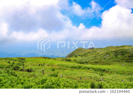 伊吹山 伊吹山 102104460
