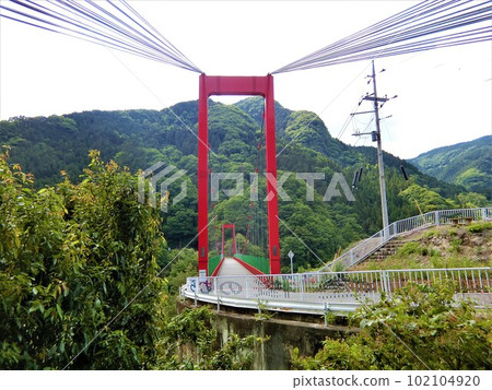 群馬縣藤岡市康納湖琴平橋 群馬縣藤岡市康納湖琴平橋 102104920