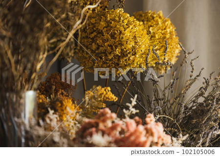 dried flower interior dried flower interior 102105006