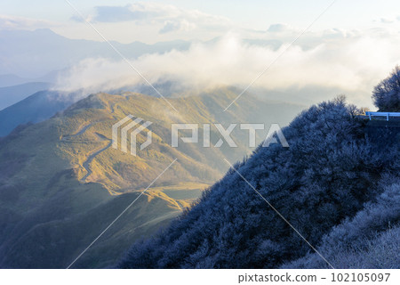 高知縣中津明神山白霜與林道 高知縣中津明神山白霜與林道 102105097