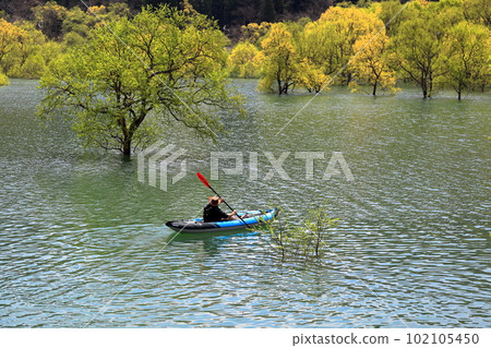 白川湖水下森林 白川水壩湖濱公園 白川湖水下森林 白川水壩湖濱公園 102105450