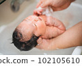 newborn baby bathing 102105610