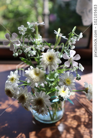 Arrange small white flowers on the windowsill Arrange small white flowers on the windowsill 102105683