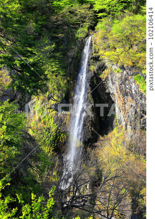 Rice powder waterfall Rice powder waterfall 102106414
