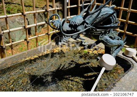 Ideal force immobilized handwater house 102106747